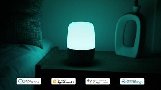 Voice Control APP Control