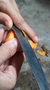 739K views · 6.5K reactions | Indonesian Beauty Clinic | Turmeric Hair Oil – Original Traditional Oil #indonesian #beauty #turmeric #hairoil #oil #traditionaloil #turmericoil | Nayona Tips | Facebook