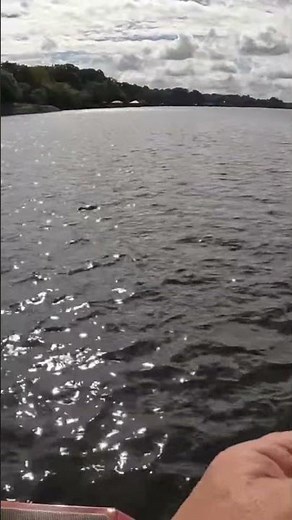 Foul Crappie