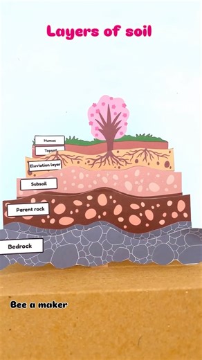 Bee.a.maker | Comment ‘link’ to get the link in your inbox. 🌱 Layers of Soil – Learning Made Fun! Learning about the layers of soil just got more fun... | Instagram