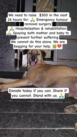 Donate today if you can. Share if you cannot. Stand with us. 🙏