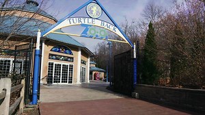 27K views · 843 reactions | Lights. Camera. Action! Have you seen our latest commercial? | Turtle Back Zoo | Facebook