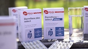 Dr. Wolz Darmflora plus select - 20 Kapseln hochdosiert - 8 Milchsäurebakterien-Stämme - 48 Mrd Bakterienkulturen pro Tag - Kulturen Komplex für Darmschleimhaut & Immunsystem - Darm-Kur - vegan