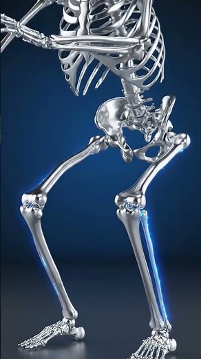 30 Days 50 Squats Challenge 💀 | Skeleton Body Transformation Animation | What Happens to Your Body?