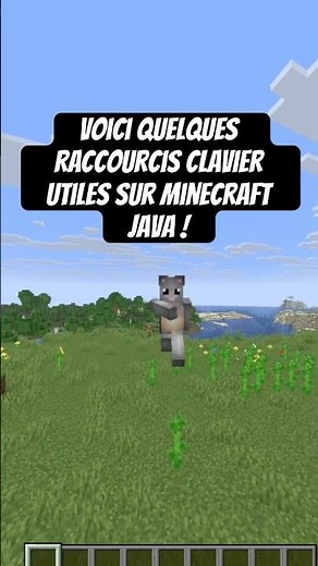 Here are some useful keyboard shortcuts for Minecraft Java! #minecraft #shorts