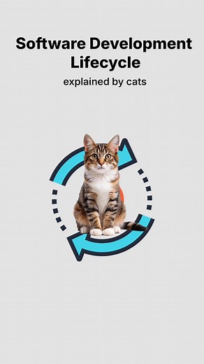 SDLC, explained by cats. #cat #code #software #development #lifecycle