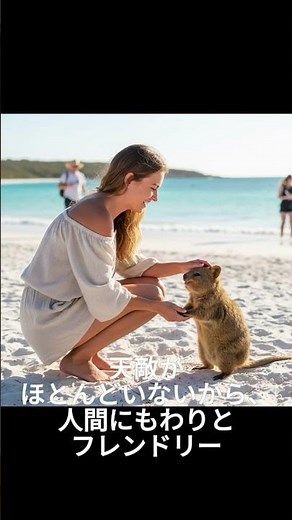クウォッカワラビーの生態