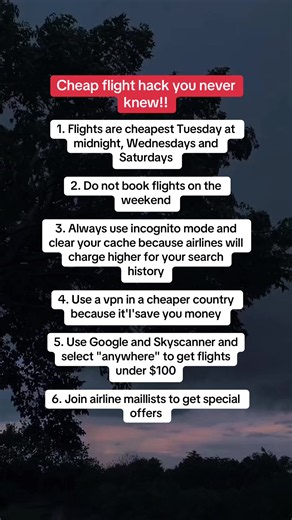 These flight-booking “secrets” could save you money ✈️💸 #TravelTips #CheapFlights #TravelHacks #Flights #Travel