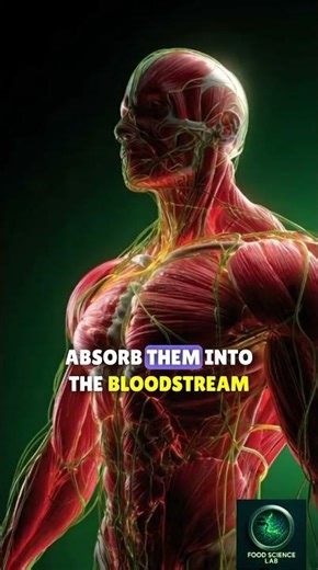 The Science Inside a Burger: What Really Happens in Your Body?