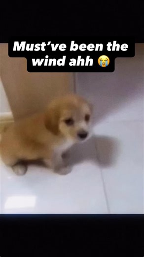 Credit - @mysticalreel.pull Sound - Tilted on Dajunyr (On SoundCloud) #music #producer #synthwavemusic #synthwave #explorepage✨ #viralreels❤️ #vibe #meme #cutestanimals #goviral | Darrell Milan