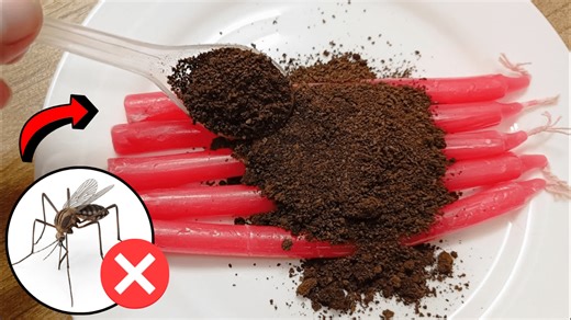 Easy DIY Insect Repellent Coffee Candle