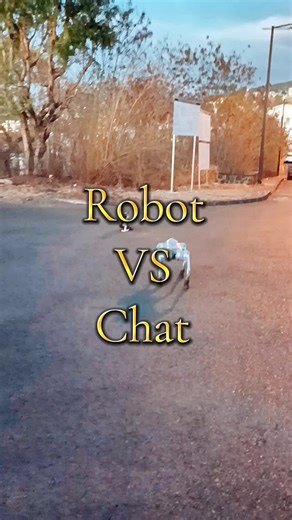 IRunBot 🇷🇪 Robot Vs Chat