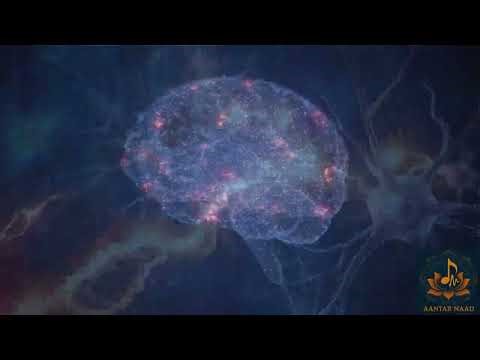 The Algorithm of Karma | संज्ञा, वेदना, प्रतिक्रिया और संस्कार | Mind, Reaction & Conditioning