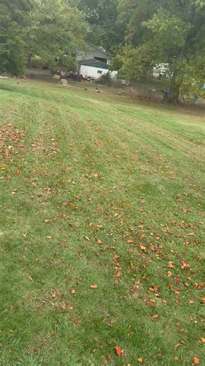 🐓 she loves me ❤️ the way she waddles 😆 | Sarah Kay