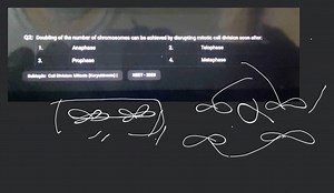 Q2: Doubling of the number of chromosomes can be achieved by di... | Filo