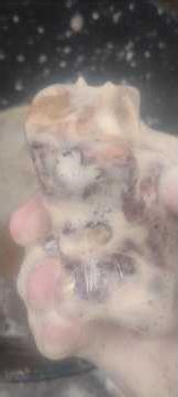 Brachiopod in Red Jasper Ancient River Rock