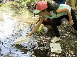 Apply Now: Clean Water Program Grants for Alameda County