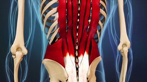 A strain of the back muscles is often the result of a trauma such as falling or lifting something heavy. See the full video about how back strains occur: http://www.spine-health.com/video/lower-back-strain-video | Spine-health