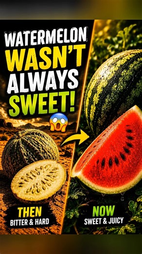 Why Ancient Watermelons Tasted TERRIBLE
