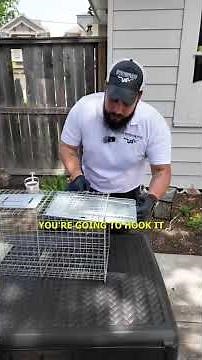 How To Set Up A Smart 1-Door Live Animal Trap for Raccoons, Squirrels, and more Rodents