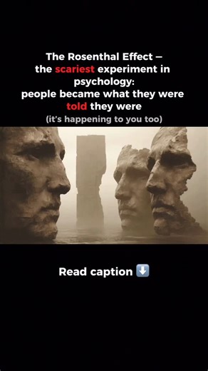 Gray Lab | Inner Protocol | The Rosenthal Effect — the experiment they tried to soften in textbooks: children became what they were predicted to be. 1. 1968,... | Instagram