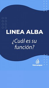 Función e importancia de la línea Alba para un abordaje optimo....