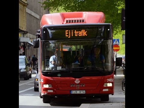 Rule of law Radio With Randy Kelton and Brett F shedding some light about traffic