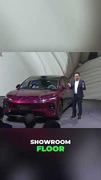 BYD's REAL Family EVs Usability Meets Tech!