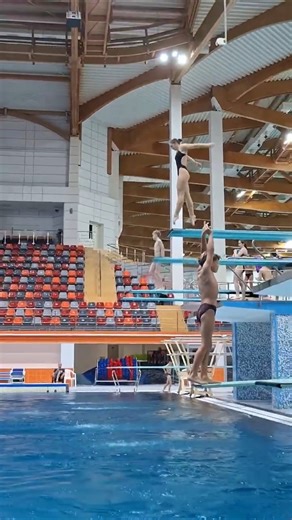 Springboard Dives That Defied Gravity