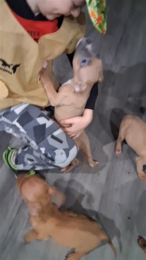 2.3K views · 19 reactions | This girl needs a home | Scooter Trash | Facebook