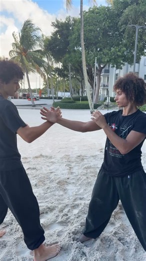 Private Class - Hao Family Mantis - Learning the Language - Applications - Two Person Drills - Health and Fitness - Mind and Body | Addis Kung Fu Academy