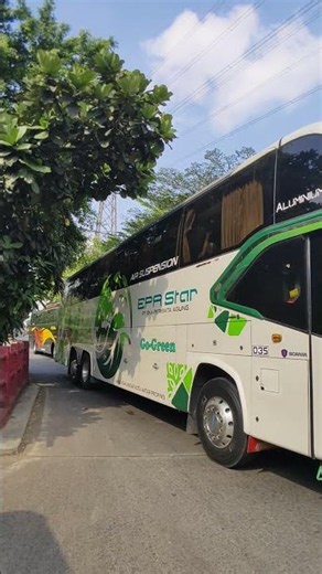 Look, This Non-Tronton Bus Is As Long As The Tronton Bus Behind It #busmania #automobile #shorts