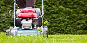 The exact date to start mowing your grass this spring for a healthier lawn
