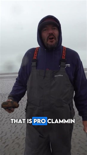 Cook Inlet Alaskan Clams
