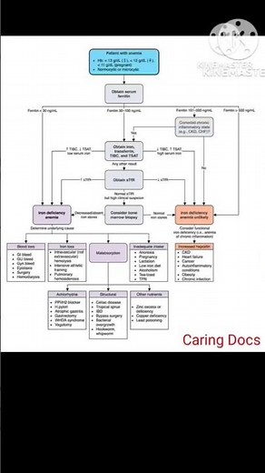 Approach to Anemia | Anemia Algorithm