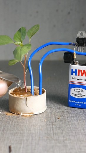 172K views · 2K reactions | இது ஒன்னு இருந்தா போது|Soil moisture sensor Circuit #electronics #diy | Tek Shok | Facebook