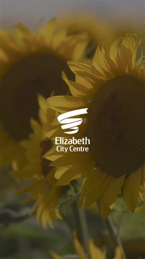Elizabeth City Centre is proudly adopting the Hidden Disabilities Sunflower Program 🌻 The Sunflower Program is a discreet way for those with less visible conditions to indicate they may need additional support by simply wearing a Sunflower pin, wristband, or lanyard. We encourage customers who need assistance to look out for our centre staff wearing a white Hidden Disabilities supporter Sunflower pin, wristband, or lanyard, or visit our customer service desk. Anyone with a hidden disability can