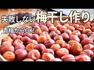 🔰失敗しない梅干し作り｜青梅を追熟して赤紫蘇で漬ける方法 梅干しの作り方
