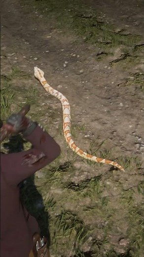 Survival Skill in Red Dead Redemption 2 P1178 #rdr2 #survivaltips #gamingshorts #gaming #shorts