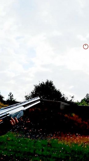 Beretta 688 Performance: Crow & Rabbit Sporting Targets Shattered in Action #clayshooting