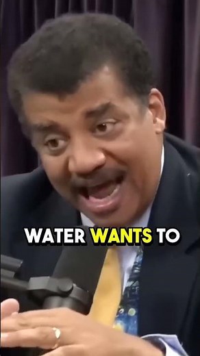 Why fishes stay alive in freezing water