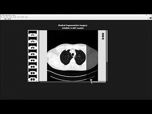 Semantic segmentation with TIGR vision and HAIBAL deep learning toolkit