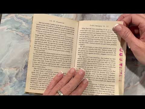 Chapter 11 of TKAM by Harper Lee (Cal's Reading)