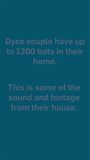 112K views · 169 reactions | A Dyce woman is sleeping in her car after night shifts because she’s too scared to walk the two metres to her door, thanks to around 1,200 bats living in the cavity of her home. Read the full story here: https://eu1.hubs.ly/H0lS4Hs0 | The Press and Journal | Facebook