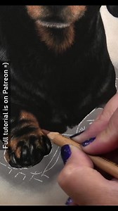 13K views · 275 reactions | Drawing paws of any animal can be one of the trickier parts to get right. I find it much easier to draw one toe at a time so that each is the correct shape. This makes it much easier to follow the reference photo and is less likely to become confusing. | Zara's Pet Portraits & Wildlife Art | Facebook