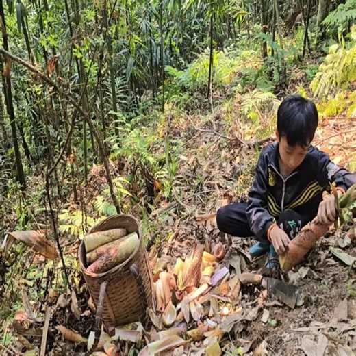 Highland Boy Khai Builds Bamboo Shoot Farm – A Surprise Twist Involving His Dog #camping #survival #bushcraft #outdoors #lifehacks | Daily maza