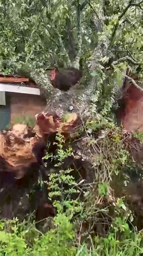 At least 75 homes and businesses sustained damage from a tornado that swept through Slidell, Louisiana, on Wednesday. | The Weather Channel