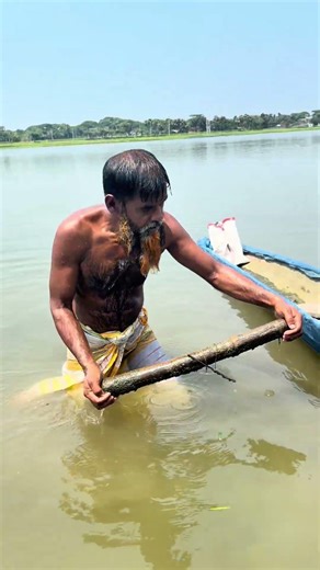 Spiny Eel fishing with bamboo from the river #Amazing #villagelife #farming