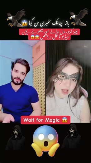 Eagle Magic Show: A Stunning Live Performance