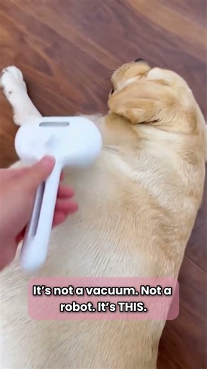 3 MINUTES a day with this tool 🎉🐾💥